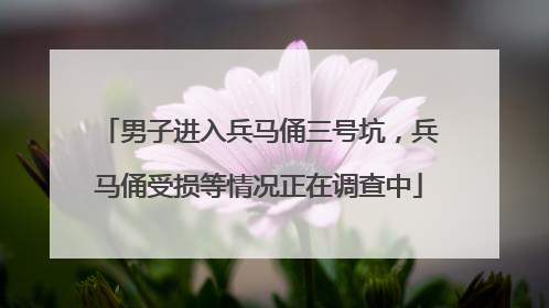 男子进入兵马俑三号坑，兵马俑受损等情况正在调查中