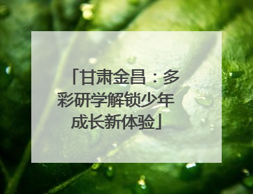甘肃金昌：多彩研学解锁少年成长新体验