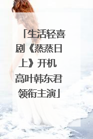 生活轻喜剧《蒸蒸日上》开机 高叶韩东君领衔主演