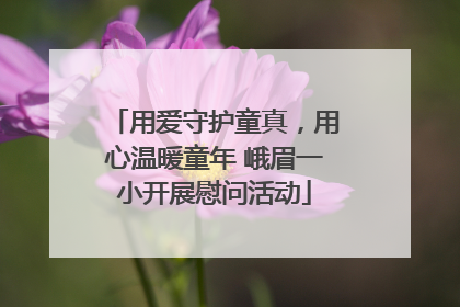 用爱守护童真，用心温暖童年 峨眉一小开展慰问活动