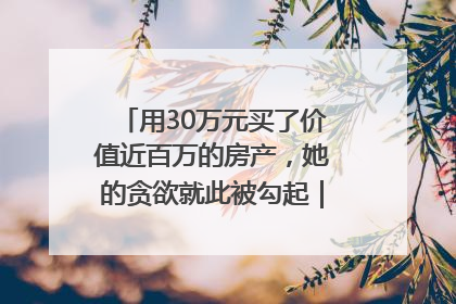 用30万元买了价值近百万的房产，她的贪欲就此被勾起｜今晚九点半