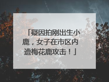 疑因拍刚出生小鹿，女子在市区内遭梅花鹿攻击！