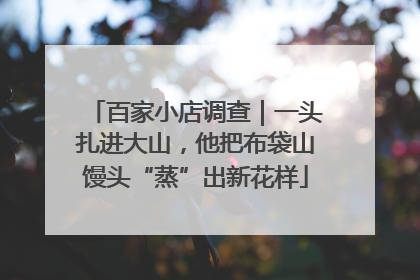 百家小店调查｜一头扎进大山，他把布袋山馒头“蒸”出新花样