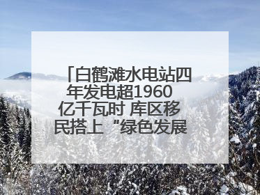 白鹤滩水电站四年发电超1960亿千瓦时 库区移民搭上“绿色发展快车”