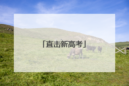直击新高考