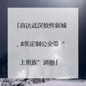 直达武汉软件新城，8条定制公交带“上班族”通勤