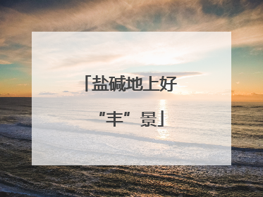 盐碱地上好“丰”景