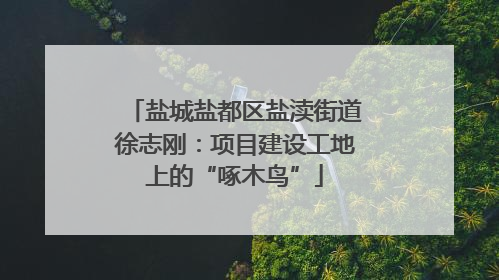 盐城盐都区盐渎街道徐志刚：项目建设工地上的“啄木鸟”