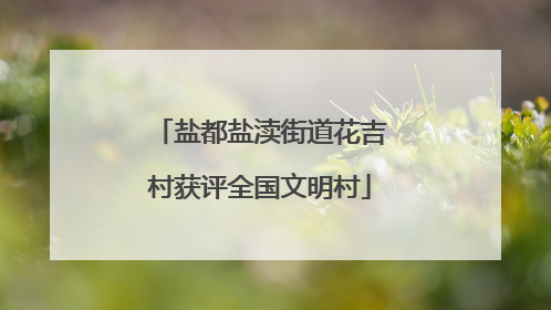 盐都盐渎街道花吉村获评全国文明村