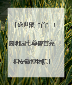 盛世聚“首”！圆明园七尊兽首亮相安徽博物院