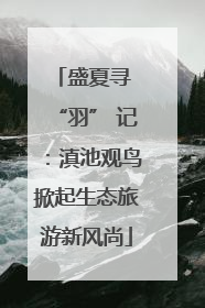 盛夏寻 “羽” 记：滇池观鸟掀起生态旅游新风尚