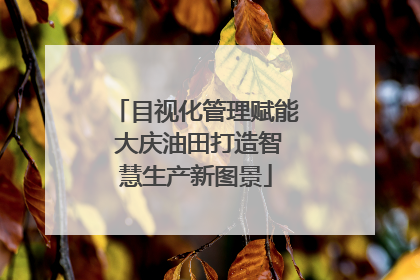 目视化管理赋能 大庆油田打造智慧生产新图景