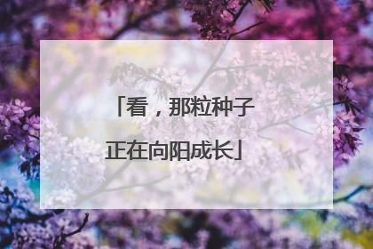 看，那粒种子正在向阳成长