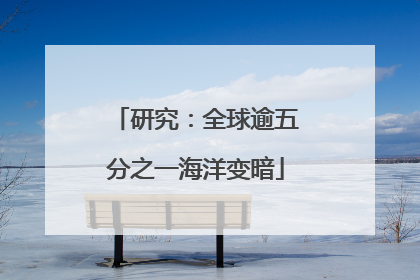 研究：全球逾五分之一海洋变暗