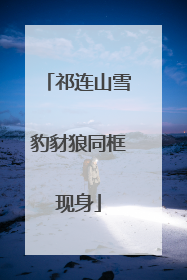 祁连山雪豹豺狼同框现身