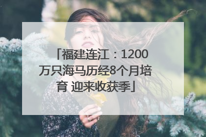 福建连江：1200万只海马历经8个月培育 迎来收获季