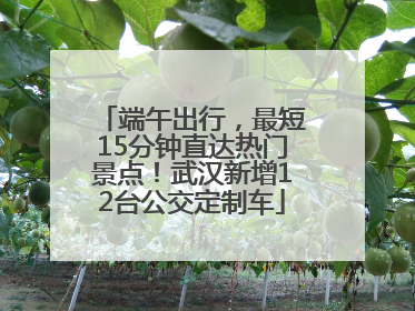 端午出行，最短15分钟直达热门景点！武汉新增12台公交定制车