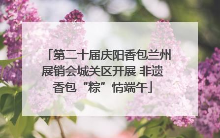 第二十届庆阳香包兰州展销会城关区开展 非遗香包“粽”情端午