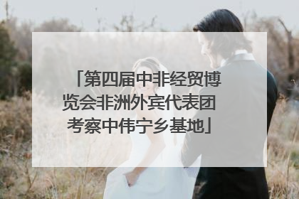 第四届中非经贸博览会非洲外宾代表团考察中伟宁乡基地