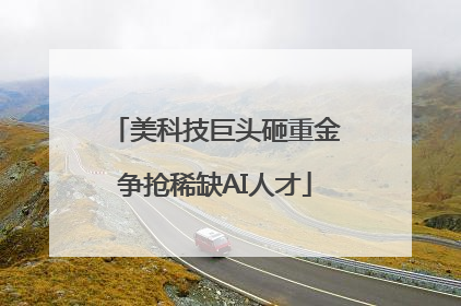 美科技巨头砸重金争抢稀缺AI人才