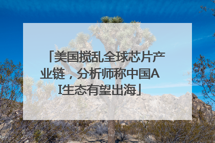 美国搅乱全球芯片产业链，分析师称中国AI生态有望出海
