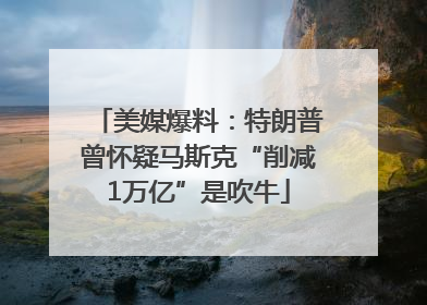 美媒爆料：特朗普曾怀疑马斯克“削减1万亿”是吹牛