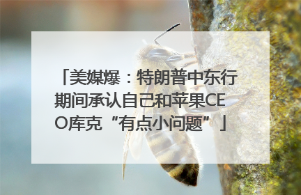 美媒爆：特朗普中东行期间承认自己和苹果CEO库克“有点小问题”