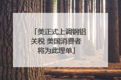 美正式上调钢铝关税 美国消费者将为此埋单