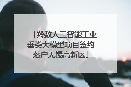 羚数人工智能工业垂类大模型项目签约落户无锡高新区