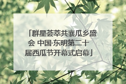 群星荟萃共襄瓜乡盛会 中国·东明第二十届西瓜节开幕式启幕