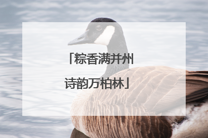 粽香满并州 诗韵万柏林