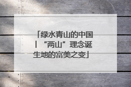 绿水青山的中国丨“两山”理念诞生地的富美之变