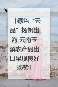 绿色“云品”扬帆出海 云南玉溪农产品出口呈现良好态势
