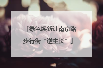绿色焕新让南京路步行街“逆生长”