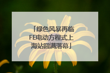 绿色风暴再临 FE电动方程式上海站圆满落幕