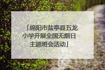 绵阳市盐亭县五龙小学开展全国无烟日主题班会活动