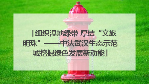 细织湿地绿带 厚结“文旅明珠”——中法武汉生态示范城挖掘绿色发展新动能