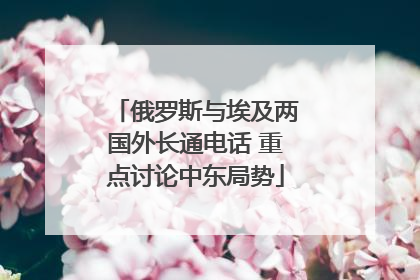 俄罗斯与埃及两国外长通电话 重点讨论中东局势