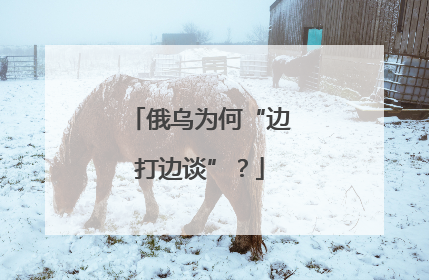 俄乌为何“边打边谈”？