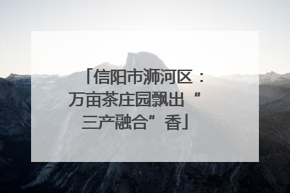 信阳市浉河区：万亩茶庄园飘出“三产融合”香