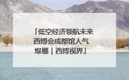 低空经济领航未来 西博会成都馆人气爆棚｜西博视界