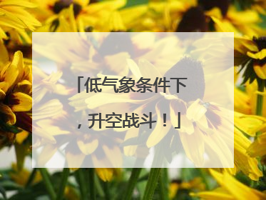低气象条件下，升空战斗！