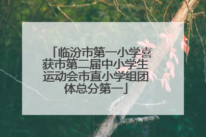 临汾市第一小学喜获市第二届中小学生运动会市直小学组团体总分第一