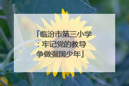 临汾市第三小学：牢记党的教导 争做强国少年