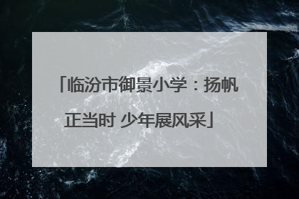 临汾市御景小学：扬帆正当时 少年展风采