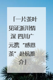 一片茶叶见证浙川情深 四川广元携“感恩茶”赴杭推介