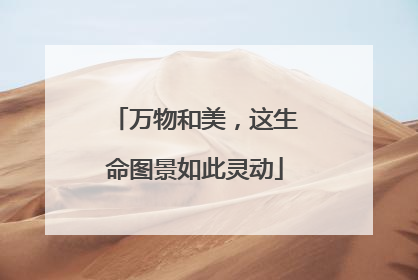 万物和美，这生命图景如此灵动