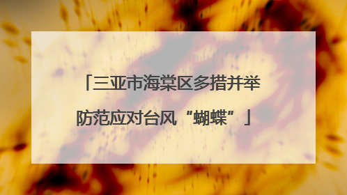 三亚市海棠区多措并举防范应对台风“蝴蝶”