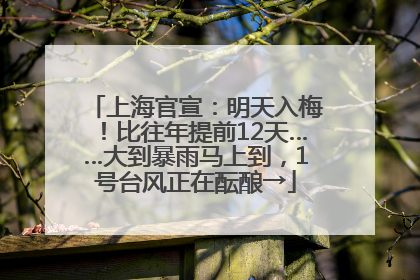 上海官宣：明天入梅！比往年提前12天……大到暴雨马上到，1号台风正在酝酿→