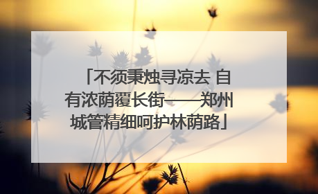 不须秉烛寻凉去 自有浓荫覆长街——郑州城管精细呵护林荫路